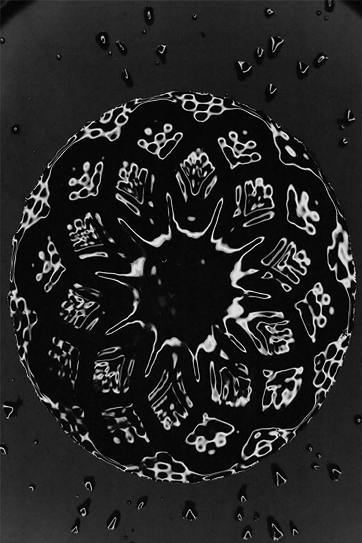St-George-in-the-East-Cymatics-shanqa
